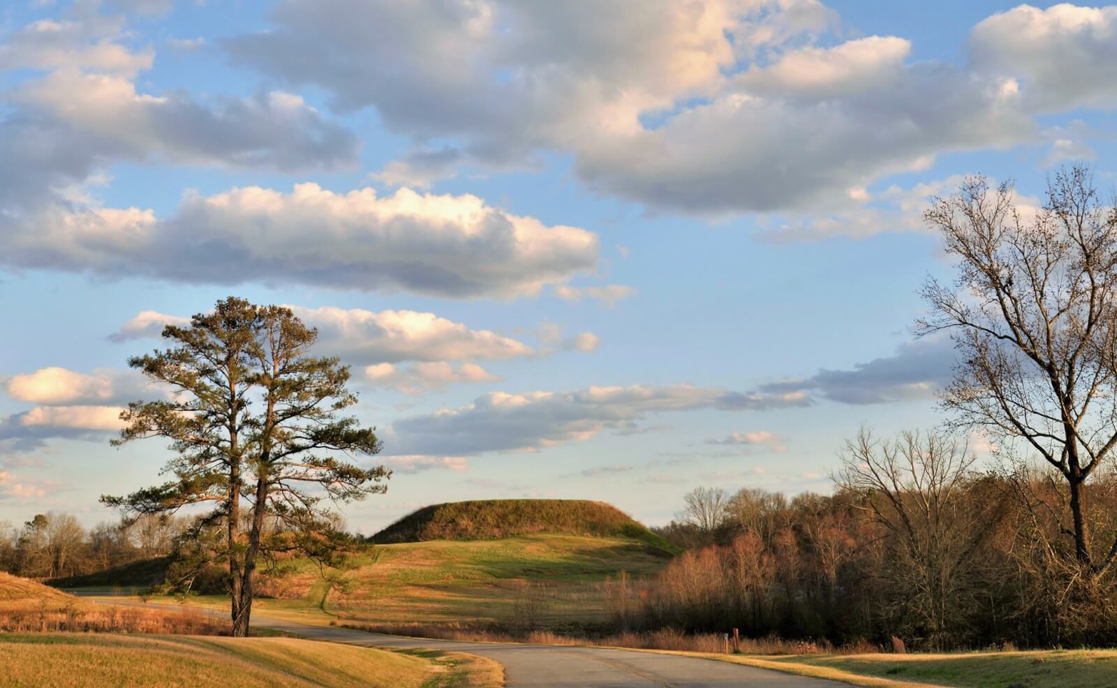A paved road curves through a grassy landscape near the Ocmulgee Mounds, with a large tree on the left and a flat-topped mound in the distance under a sky filled with scattered clouds in this new national park.