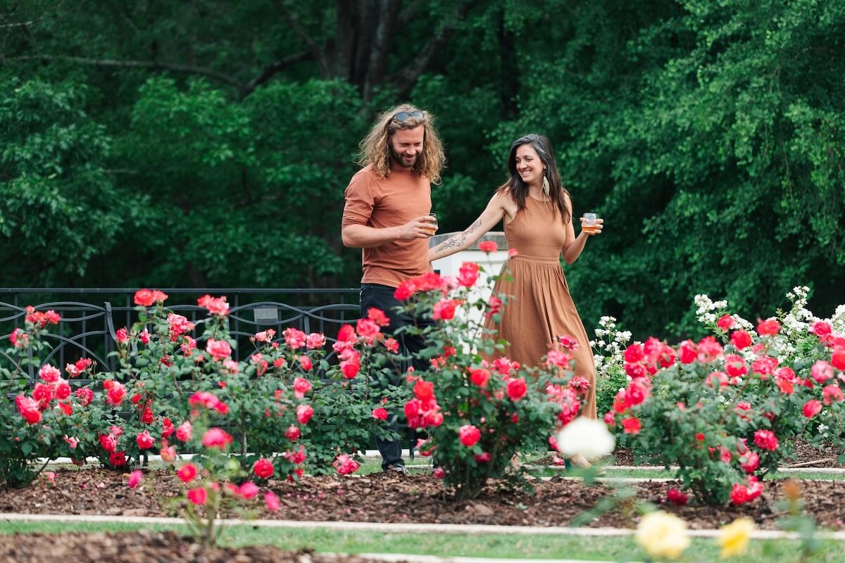 A man and a woman walk through a garden with blooming red and white roses, each holding a drink, enjoying the atmosphere reminiscent of Birmingham events in May, with lush green trees in the background.