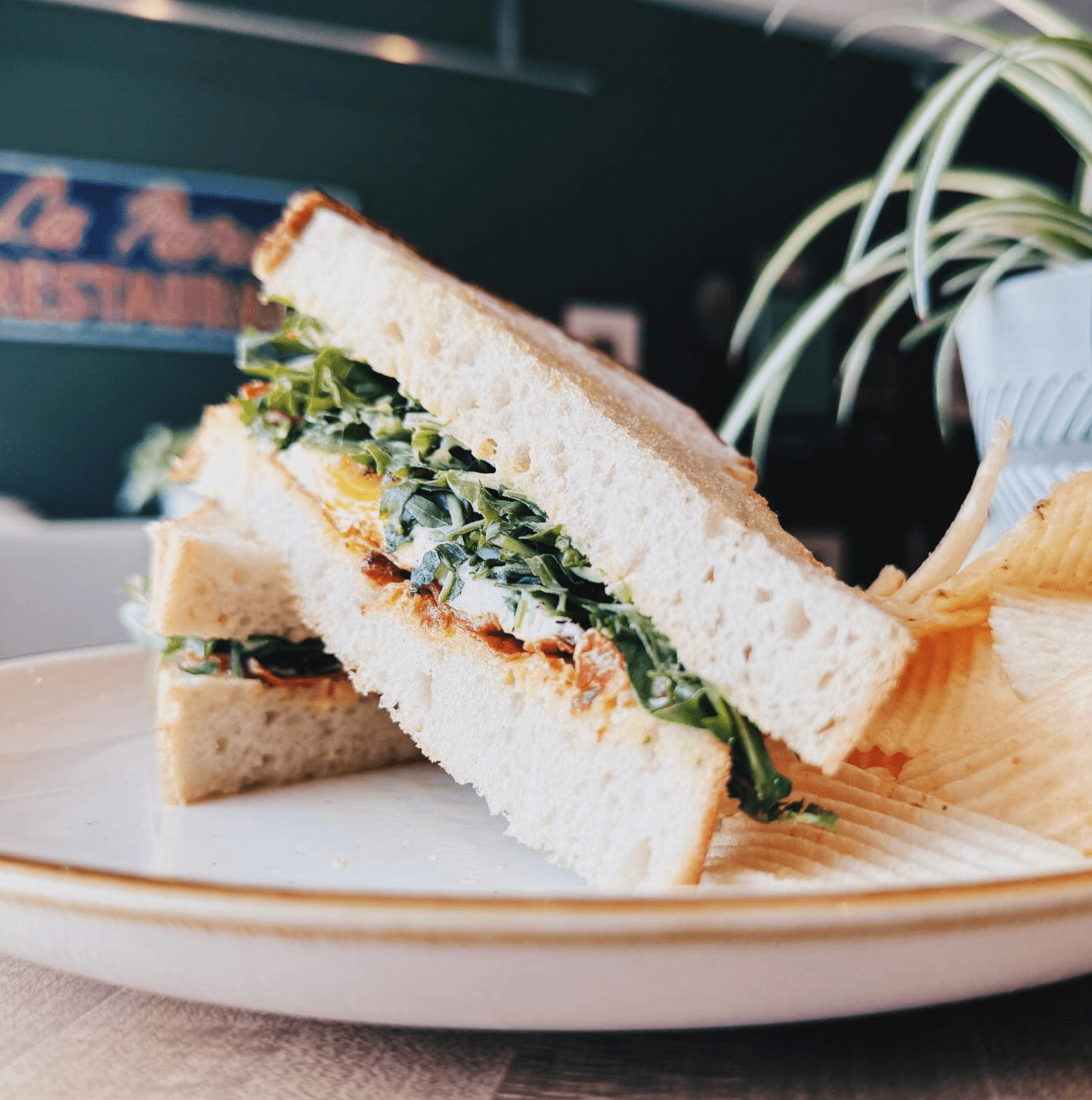 A close-up of a sandwich with leafy greens, served with potato chips on a plate—an inviting scene. A plant is visible in the background.