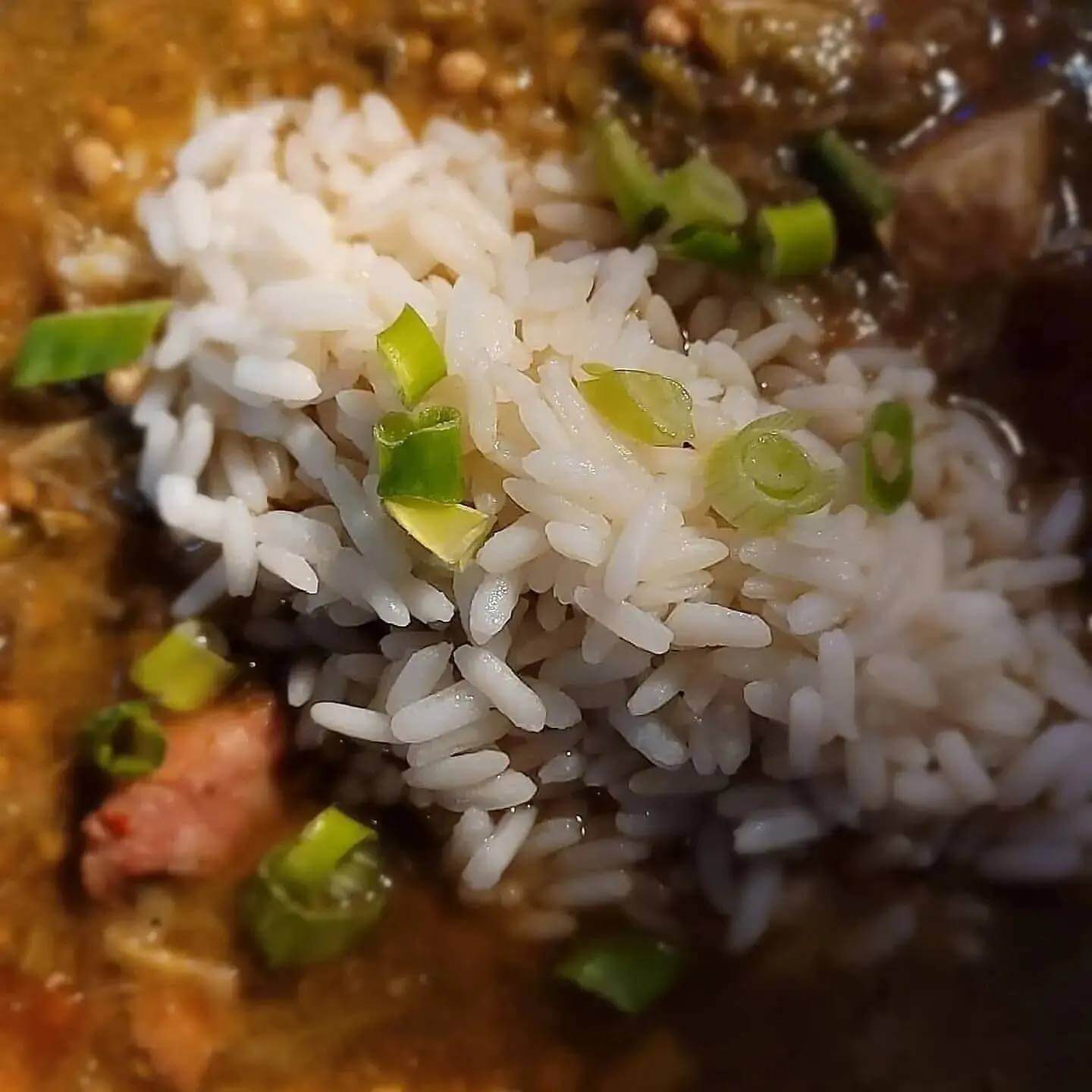 A close-up of white rice topped with chopped green onions, served with a hearty stew featuring tender meat and vegetables—a comforting dish.