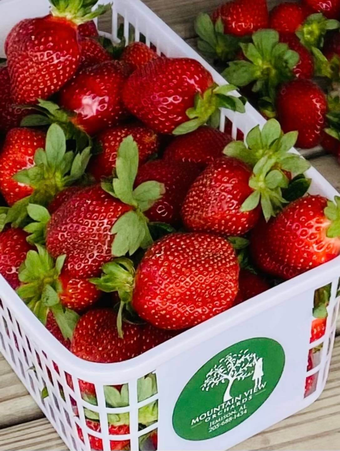 A basket brimming with freshly picked, ripe strawberries and vibrant green leaves showcases a label with a tree design and text, capturing the essence of BHAM Farm Experiences.