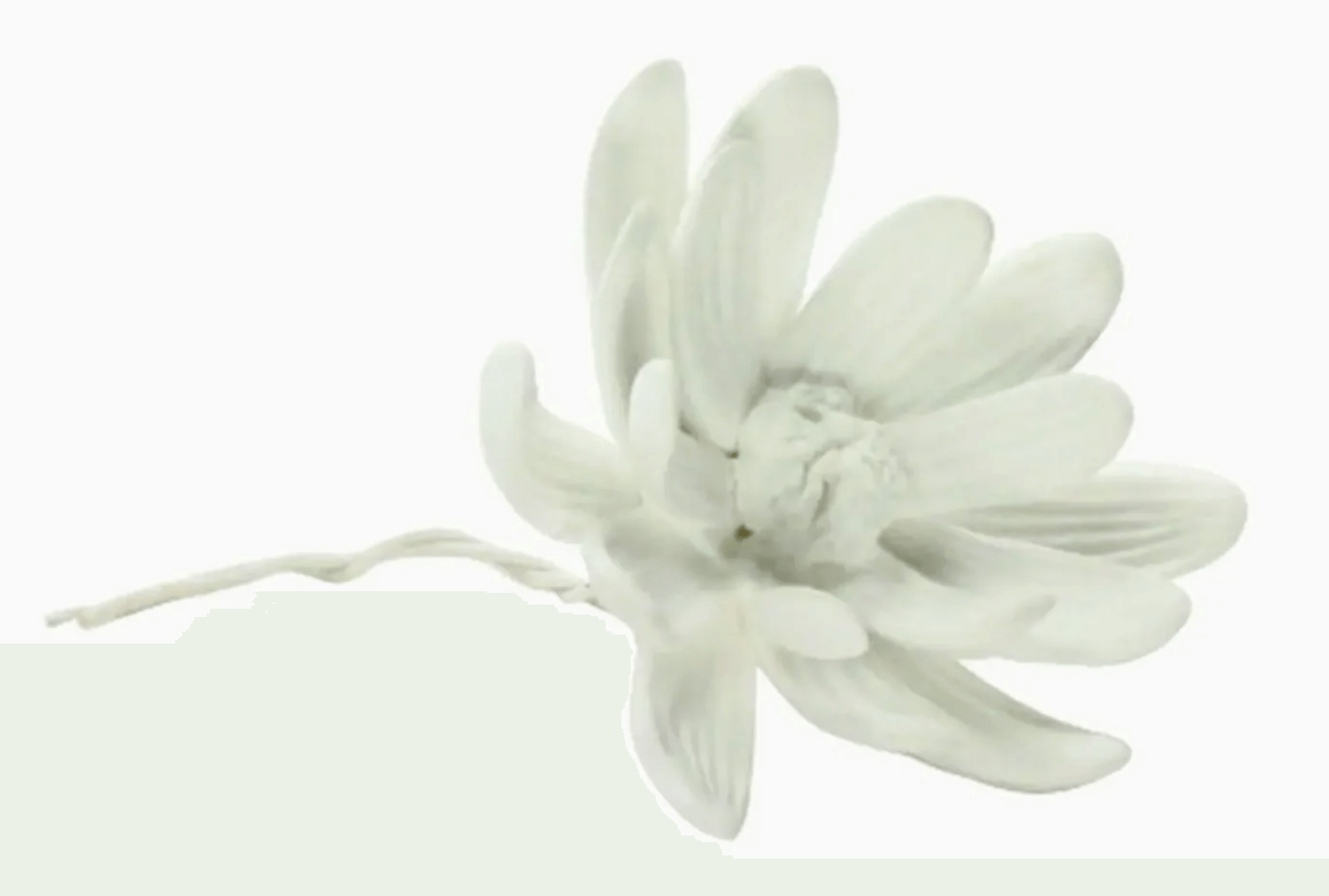 A single white artificial flower with a thin stem is positioned against a plain white background