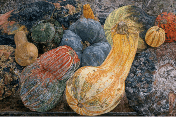 A variety of colorful squashes and gourds are arranged closely together, their unique shapes and textured surfaces captured with an Ellen Altfest–like attention to detail that makes the scene feel forever vibrant.