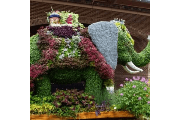 A large elephant-shaped topiary made of green and red plants stands surrounded by flowers, with a rider figure on its back—a captivating highlight of the South Carolina Festival of Flowers.