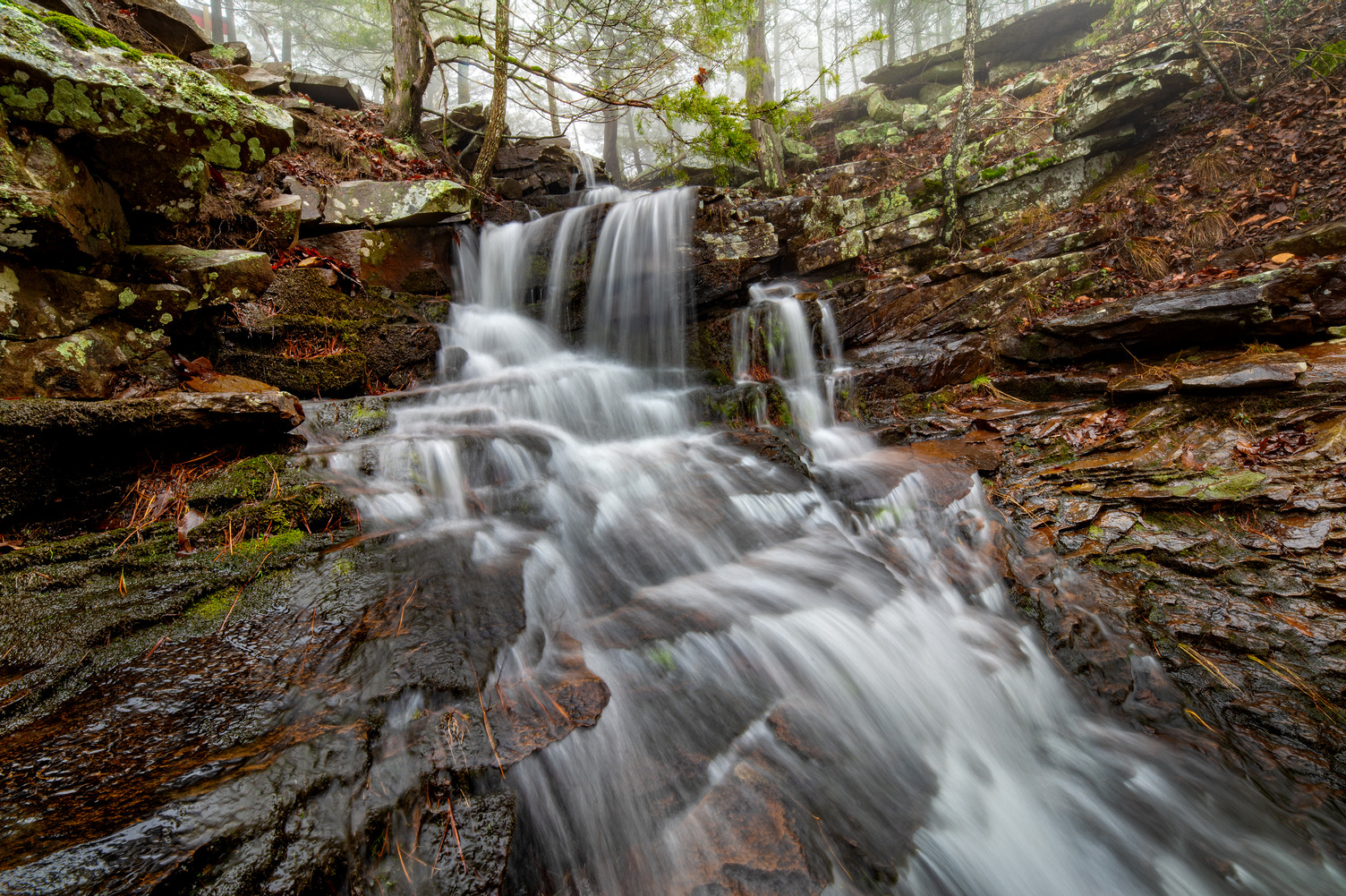 A small waterfall cascades over rocky layers, surrounded by moss-covered stones and trees, in a foggy Arkansas forest setting, making it one of the best waterfall hikes in the area.