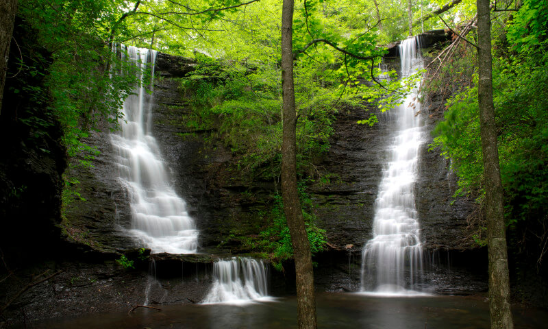 Explore the stunning waterfall in a lush Arkansas forest setting, where two streams cascade down a rock face embraced by vibrant green foliage—truly one of the best waterfall hikes Arkansas has to offer.