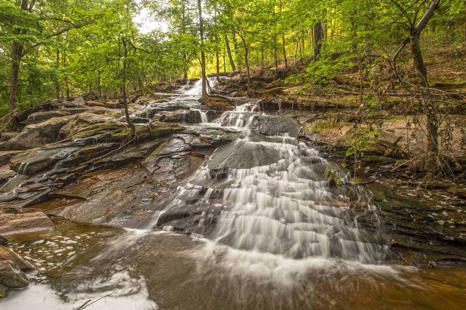 Experience the serene beauty of Arkansas as a small waterfall flows over rocky ledges, embraced by lush green trees in a tranquil forest setting, perfect for waterfall hikes.