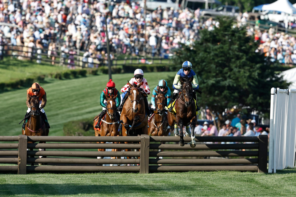 Five jockeys on horses jump over a fence during a steeplechase race, a highlight among Nashville events in May, as a large crowd watches in the background.