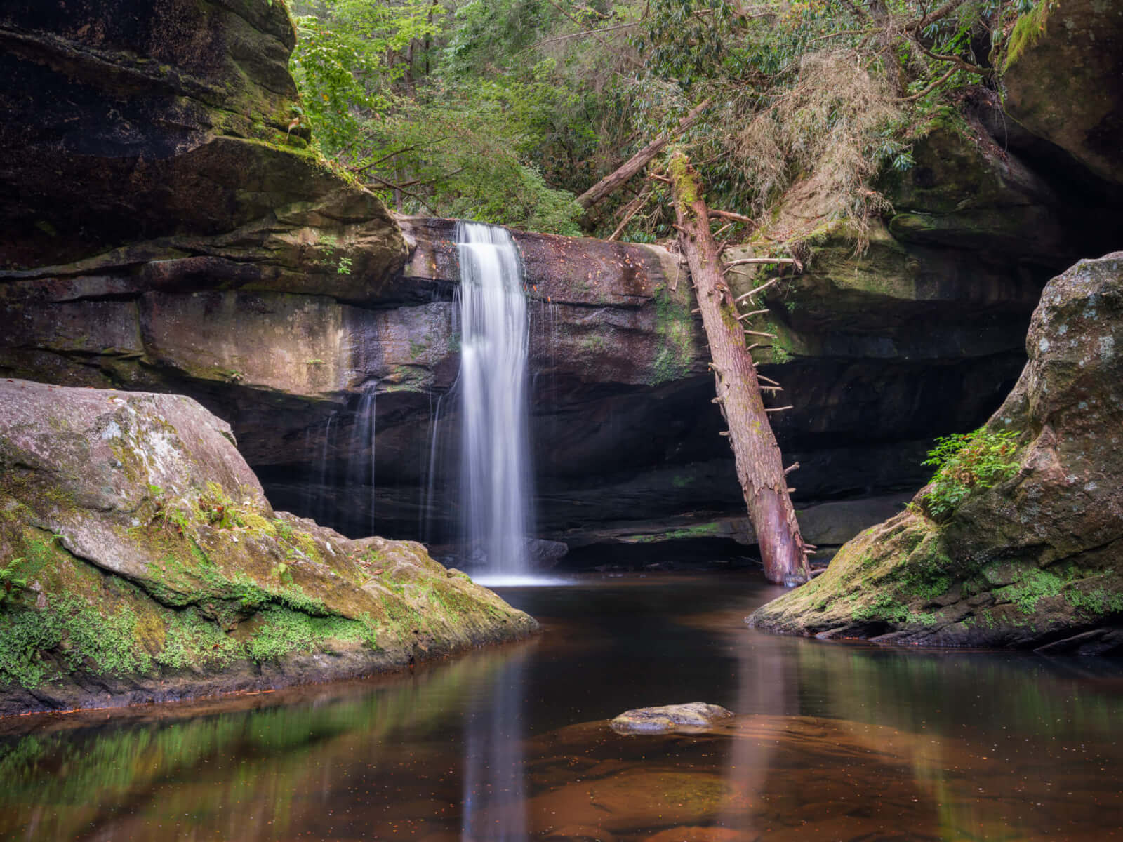 A small waterfall flows over a rocky cliff into a calm pool, surrounded by moss-covered rocks and dense green foliage; a fallen tree leans against the cliff—an inviting spot for those seeking scenic Kentucky waterfall hikes.