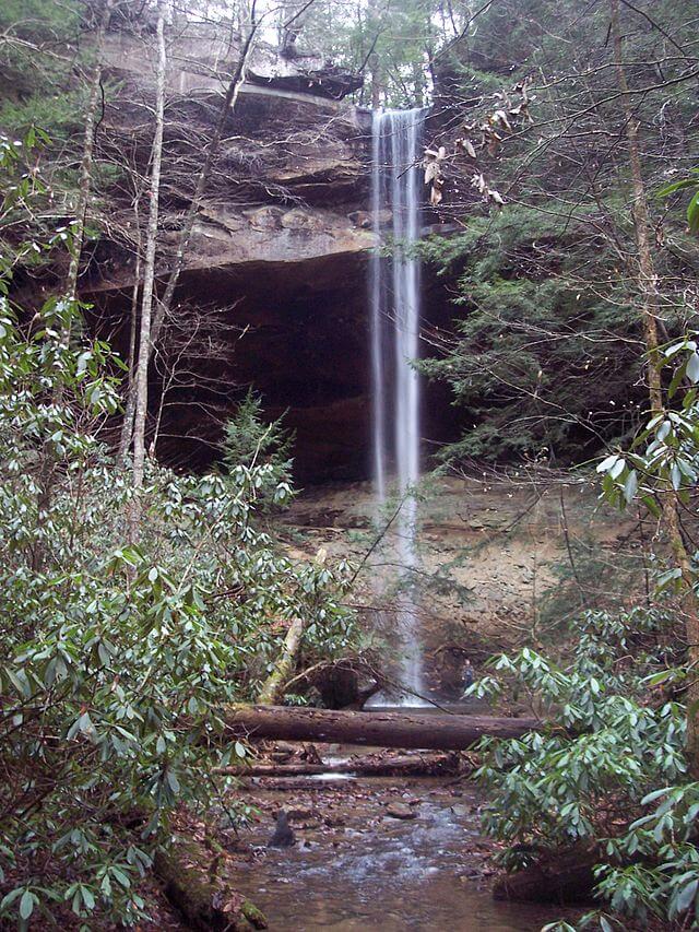 A narrow waterfall flows over a rocky cliff surrounded by trees and dense vegetation—a perfect scene for Kentucky waterfall hikes, with a fallen log and stream at the base.