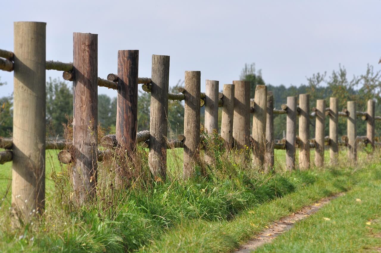 Mending Fences: Lessons in Letting Go & Leaving Space to Grow