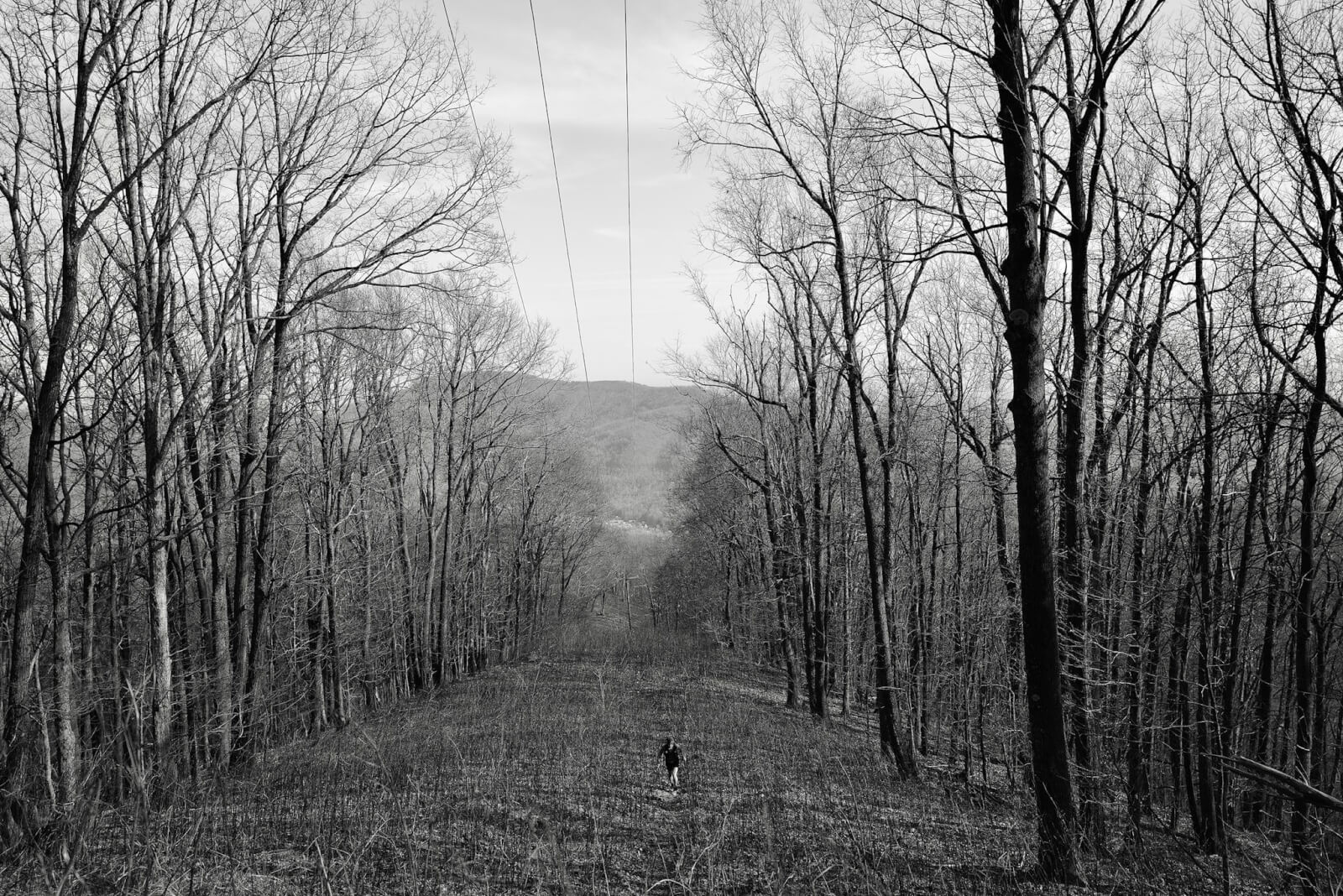 A person walks along a clearing beneath power lines through a leafless forest in Frozen Head State Park, with hills visible in the background under a cloudy sky—a scene reminiscent of the Barkley Marathons.