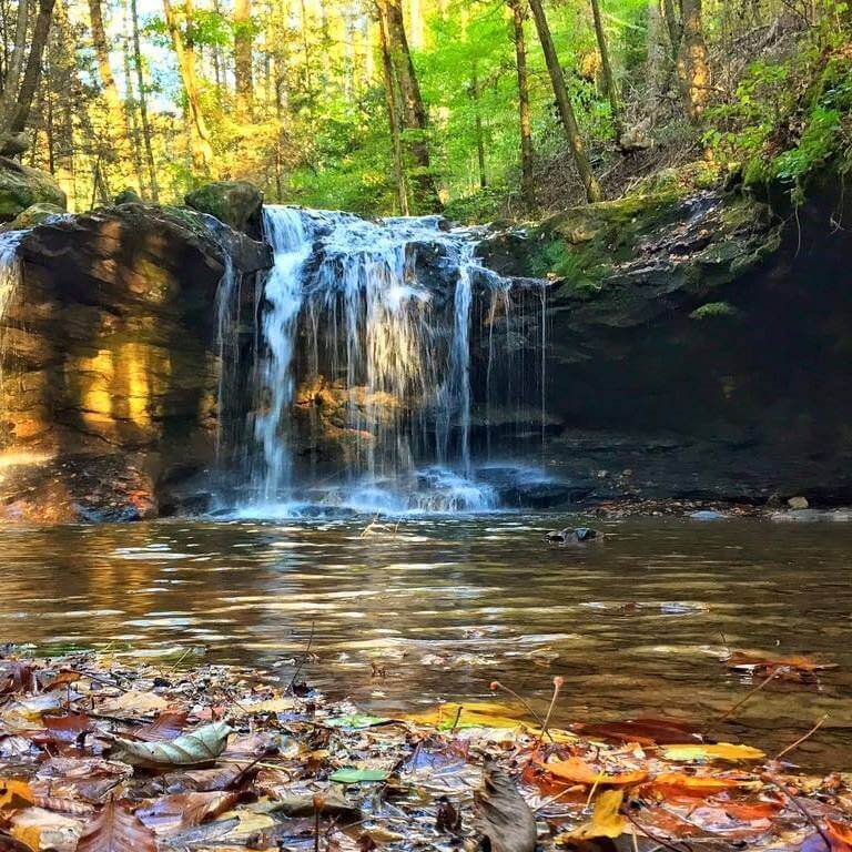 A small waterfall flows over rocks into a shallow pool surrounded by trees and fallen autumn leaves in Frozen Head State Park, the famed home of the Barkley Marathons, creating a serene forest setting.