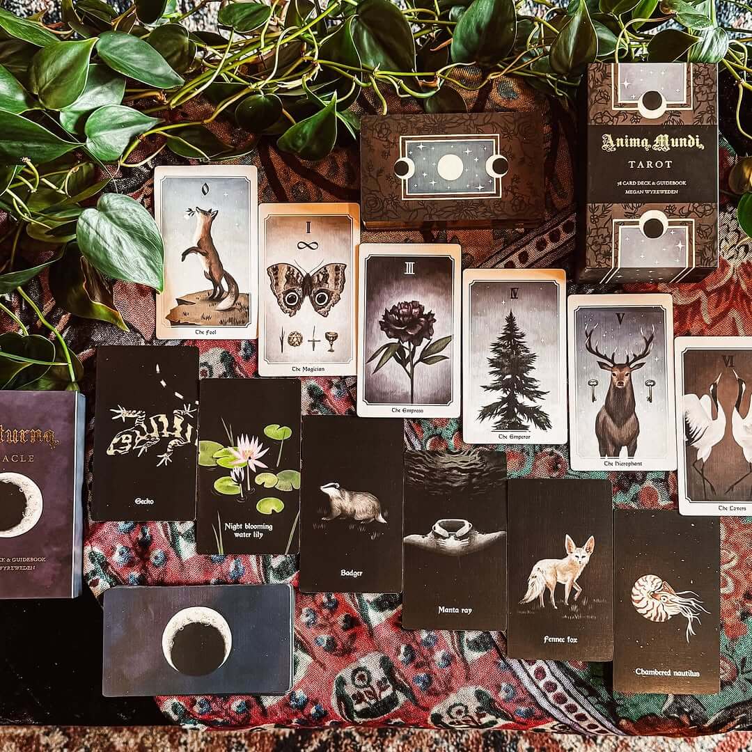 A set of tarot and oracle cards featuring animal and nature illustrations, is displayed on a fabric covered surface, surrounded by green leafy plants at Ritual + Shelter.