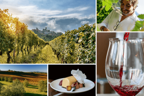 Collage of a vineyard, a man inspecting grapevines, a wine glass being filled at a La Spinetta Wine Event, a rural landscape, and a plated dessert.