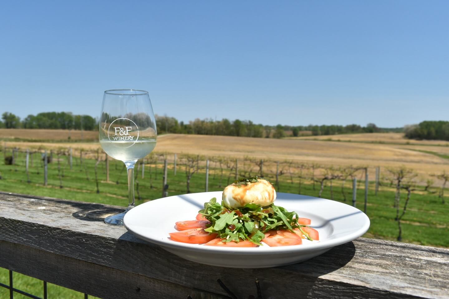 A glass of white wine and a plate with salad and cheese are set on a wooden railing, overlooking a vineyard and open fields under a clear blue sky.