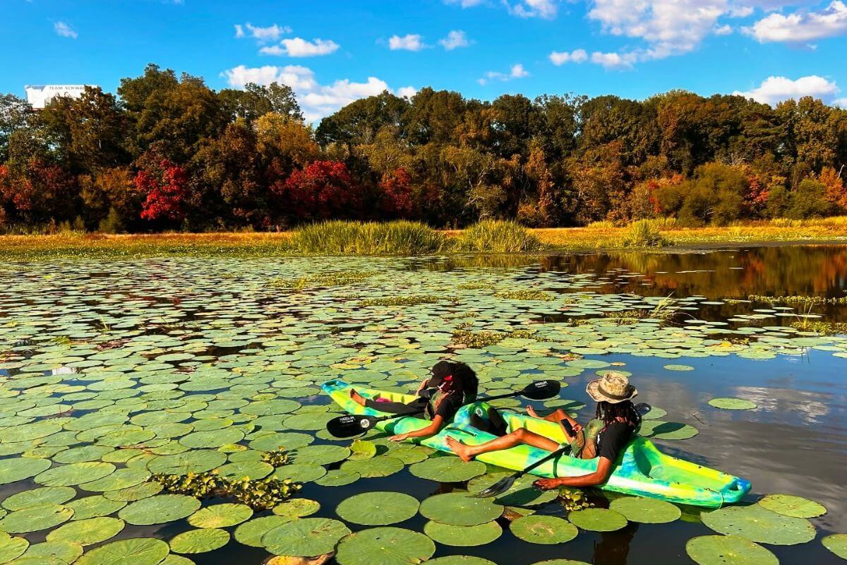8 Must-Try Mississippi Water Adventures
