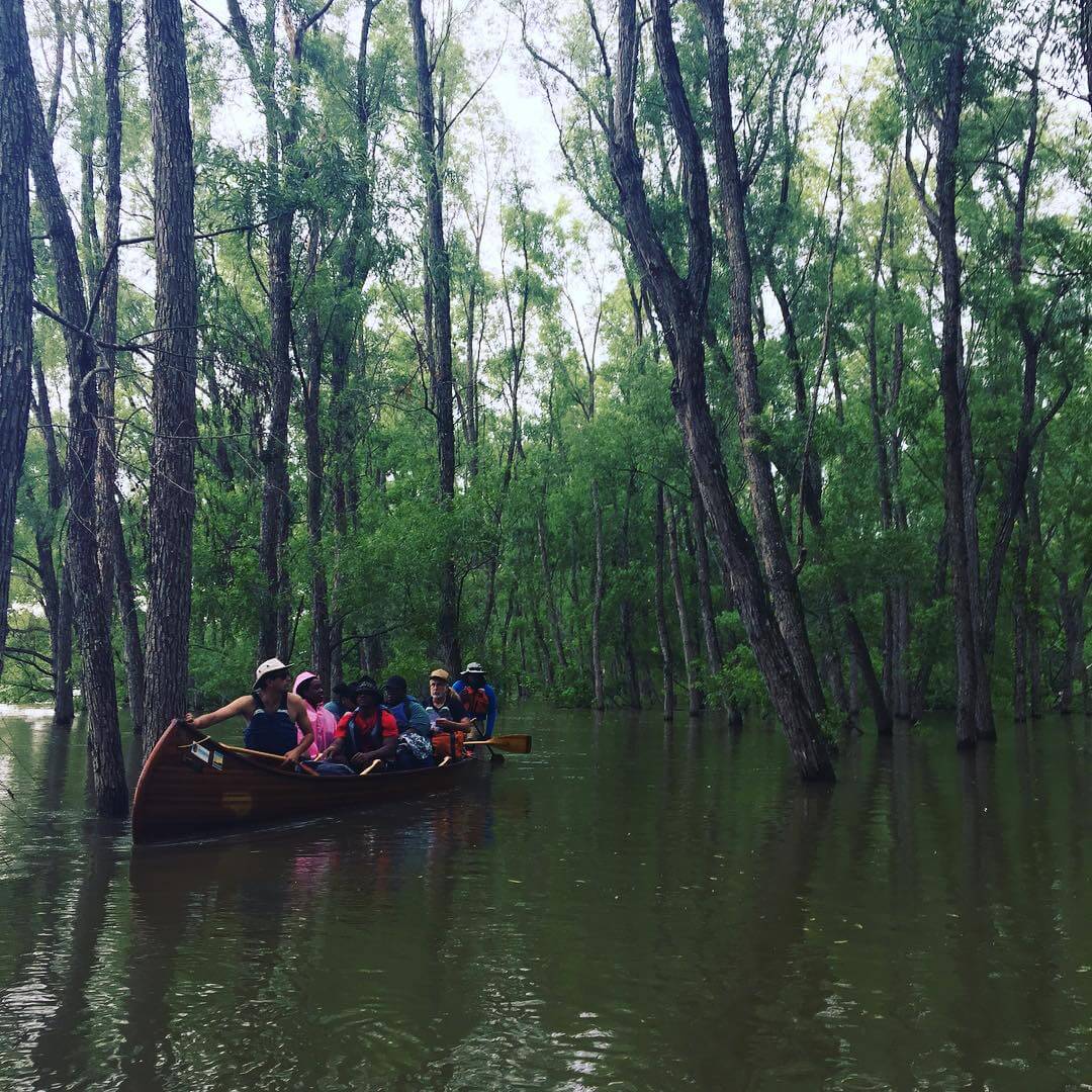 A group of people paddle a canoe through a flooded forest with tall trees and calm water, enjoying one of the unique Mississippi water adventures with Quapaw Canoe Co.