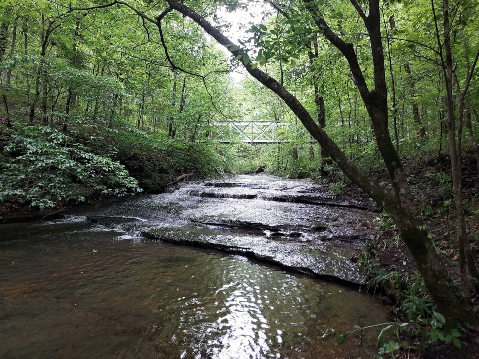 A shallow, rocky creek flows through a green forest along one of the best running trails, with a metal footbridge crossing overhead in the background.
