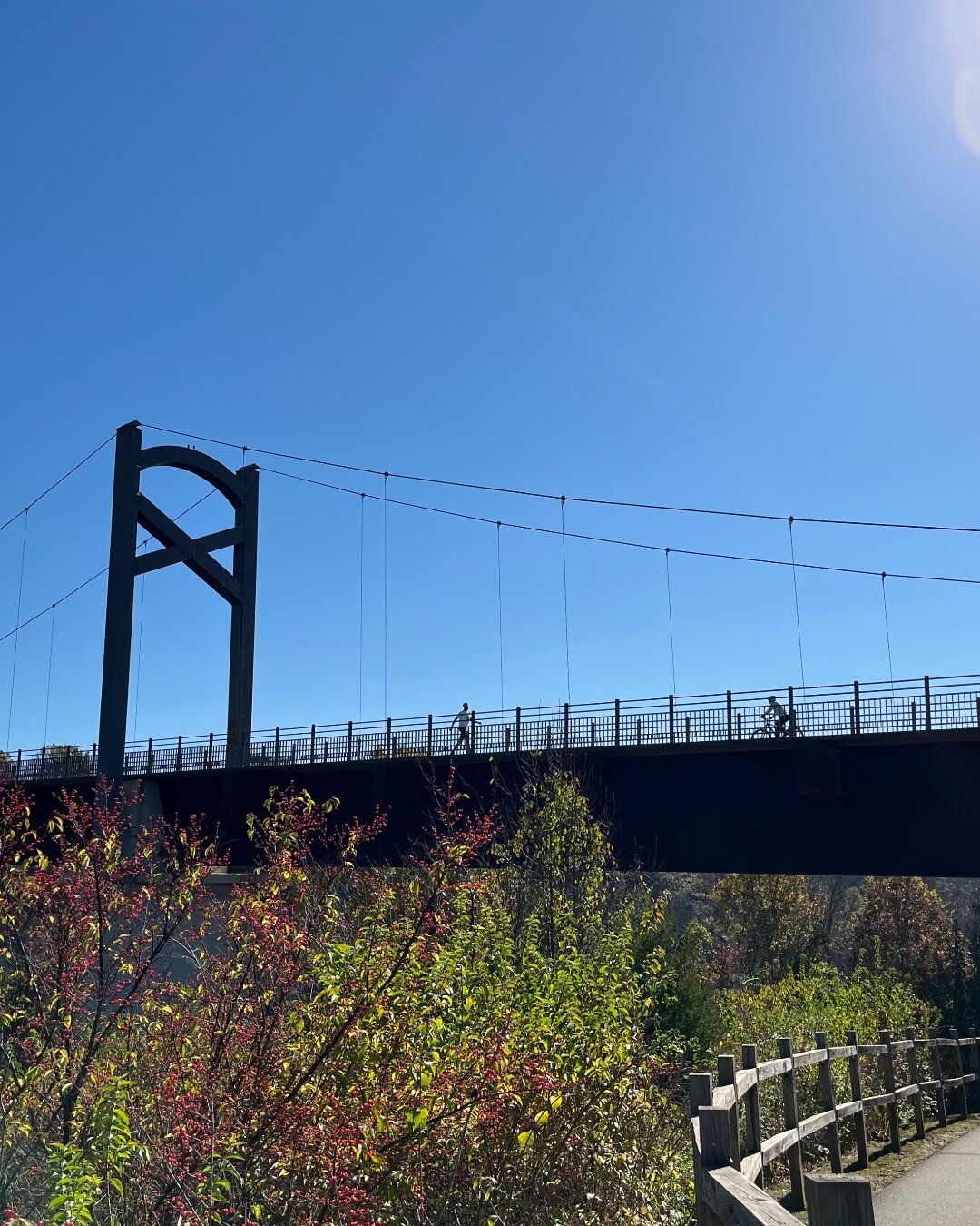 A suspension bridge with people biking across it, set against a clear blue sky, with green foliage and a wooden fence in the foreground—one of the best running routes along Nashville's scenic greenways.