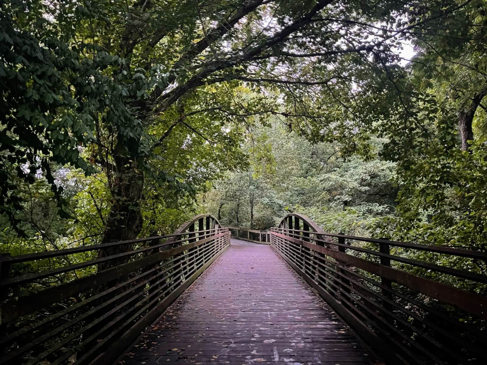 A wooden pedestrian bridge with railings spans through dense green trees on an overcast day, offering a scenic spot along Nashville running routes and greenways.