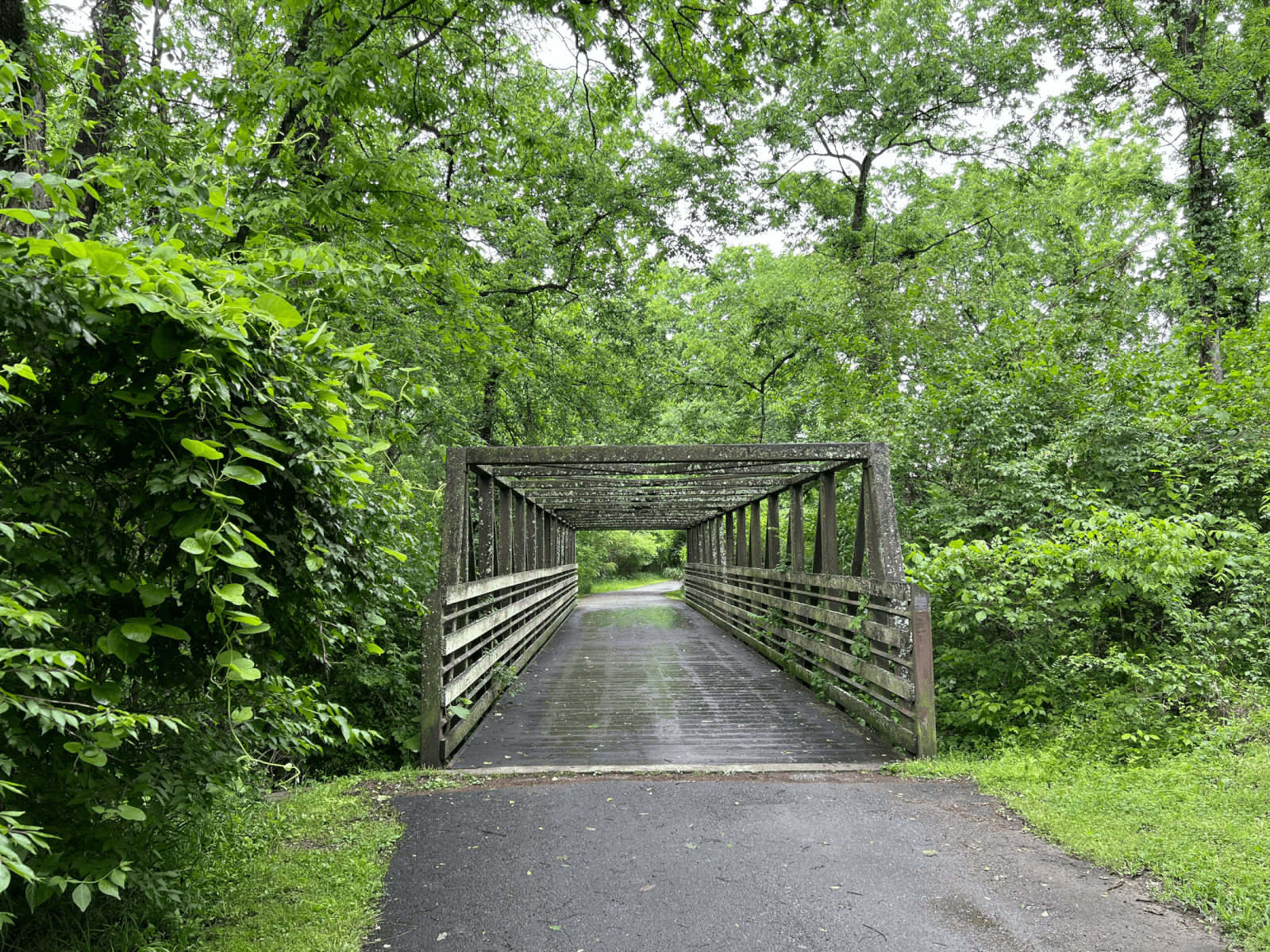 A wooden pedestrian bridge crosses a paved pathway surrounded by lush green trees and foliage on a cloudy day, offering one of the best running trails along Nashville's scenic greenways.
