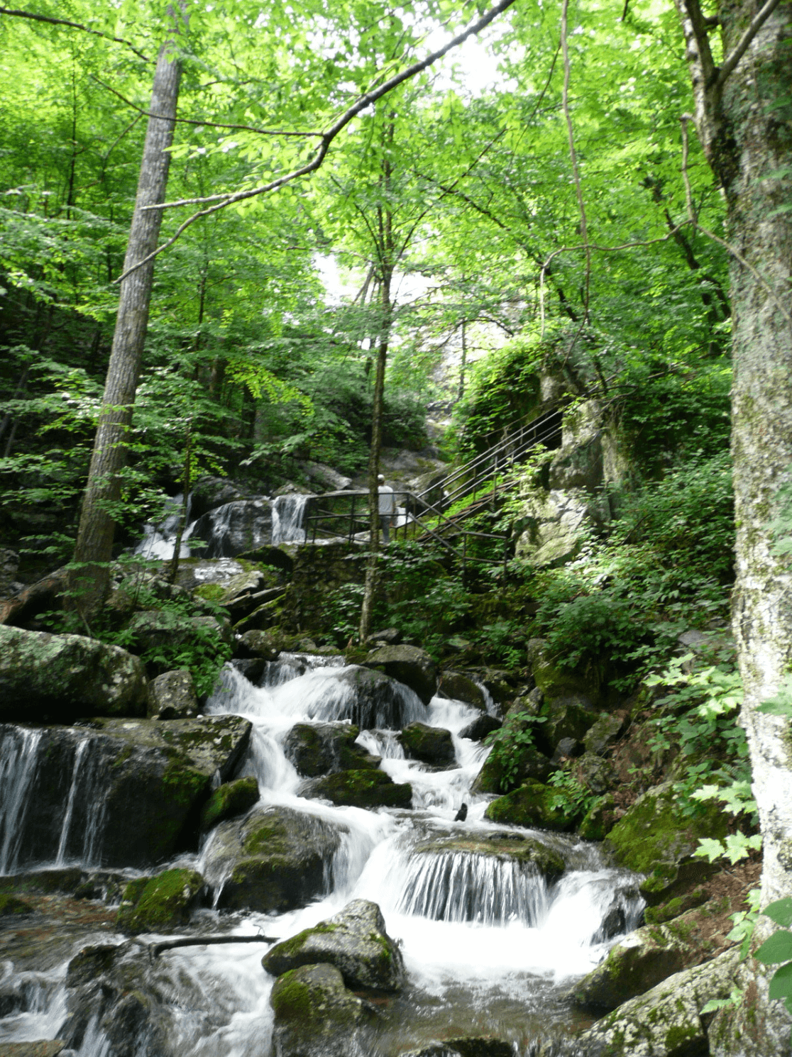 A cascading waterfall flows over mossy rocks surrounded by dense green forest in Virginia, with a wooden staircase visible in the background—perfect for scenic waterfall hikes.