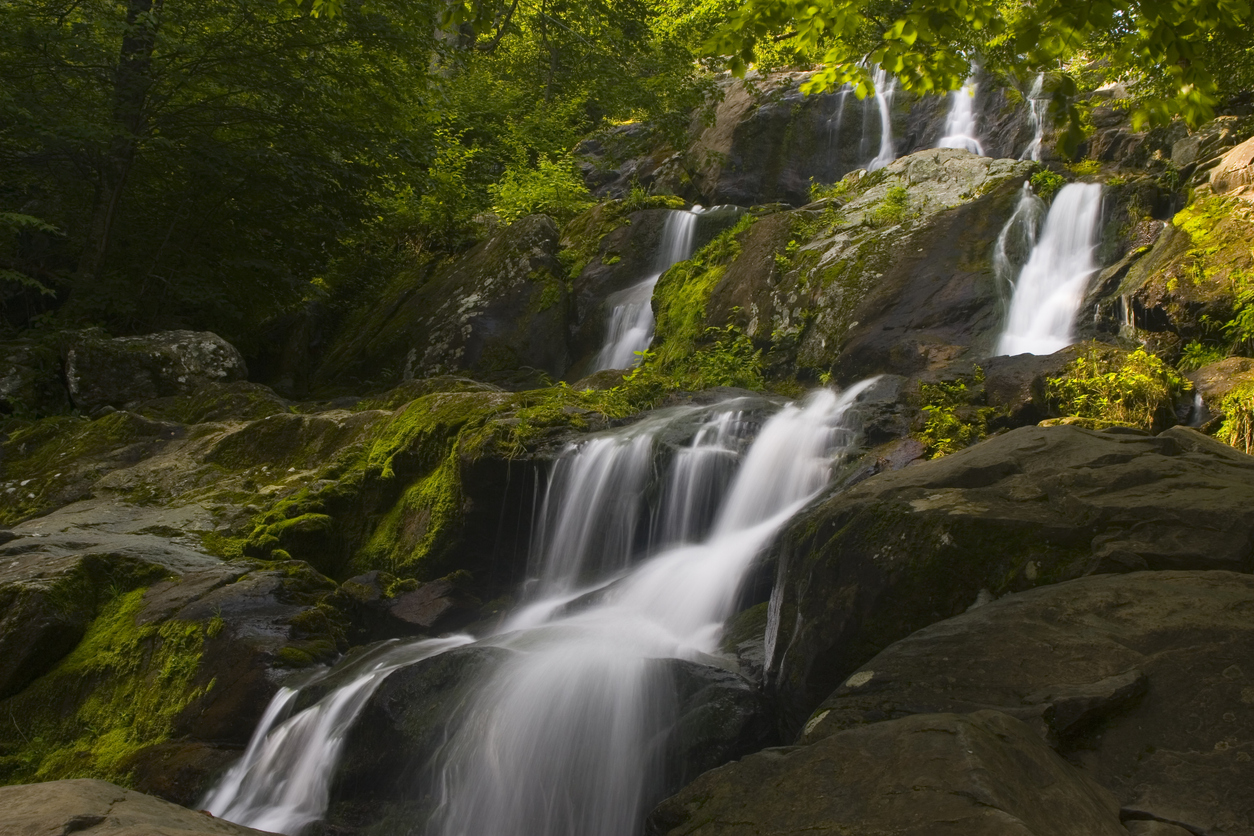 A multi-tiered waterfall cascades over moss-covered rocks surrounded by lush green foliage in a forest setting, evoking the enchanting beauty of waterfalls in Virginia.