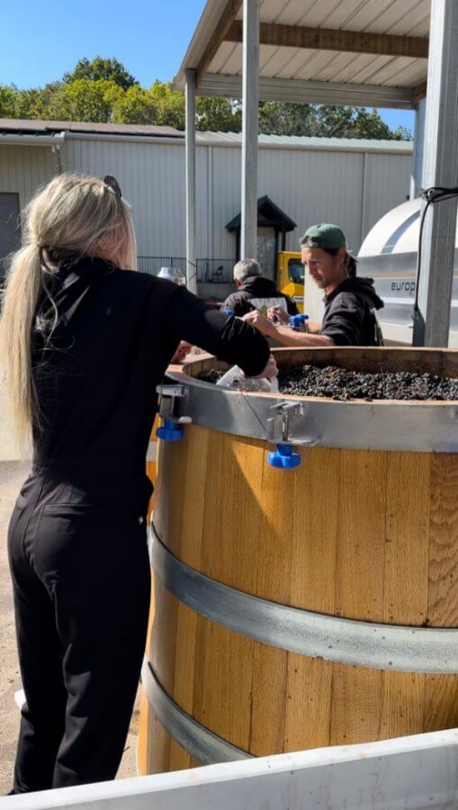 A woman stands next to a large wooden vat filled with grapes, processing or inspecting the contents outdoors at a facility.