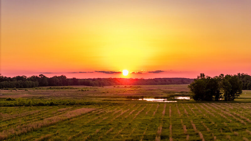 A bright orange sunset over a flat, grassy field with scattered trees, a small pond, and a clear sky captures the natural beauty found in Tennessee State Parks.