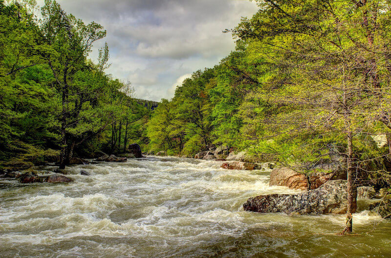 A fast-flowing river with white water rapids winds through dense green trees and rocks under a partly cloudy sky, showcasing the natural beauty often found in Tennessee State Parks.