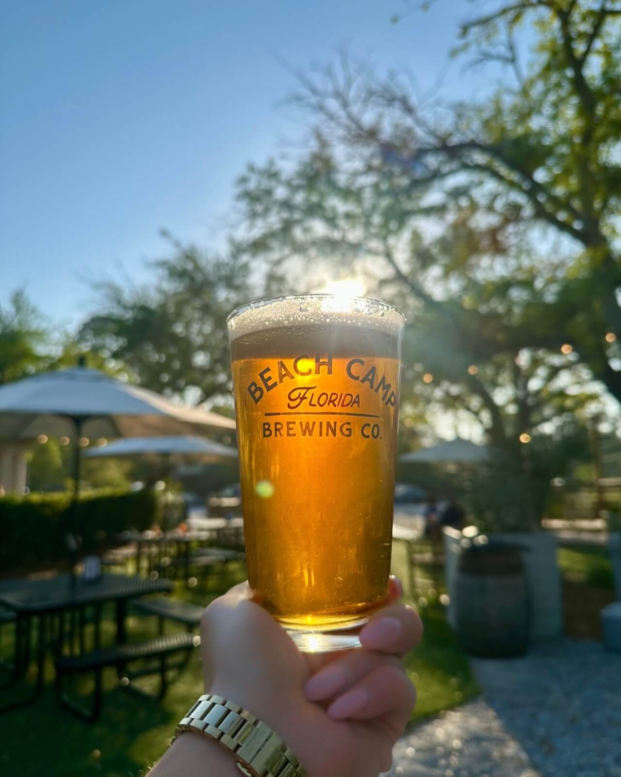 A hand holds a pint of beer from Beach Camp Brewing Co. outdoors along 30A, with sunlight shining through the glass and trees in the background.