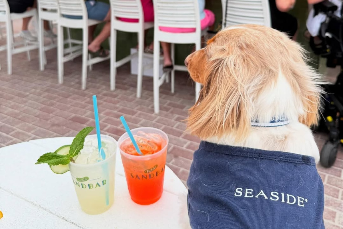 Dog-Friendly 30A Restaurants Where Your Dog Can Dine in Style