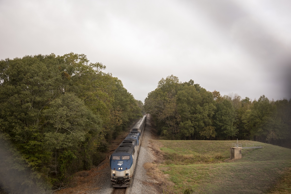 A passenger train travels through a wooded area alongside an open grassy field under an overcast sky—one of the scenic things to do in Greenwood.