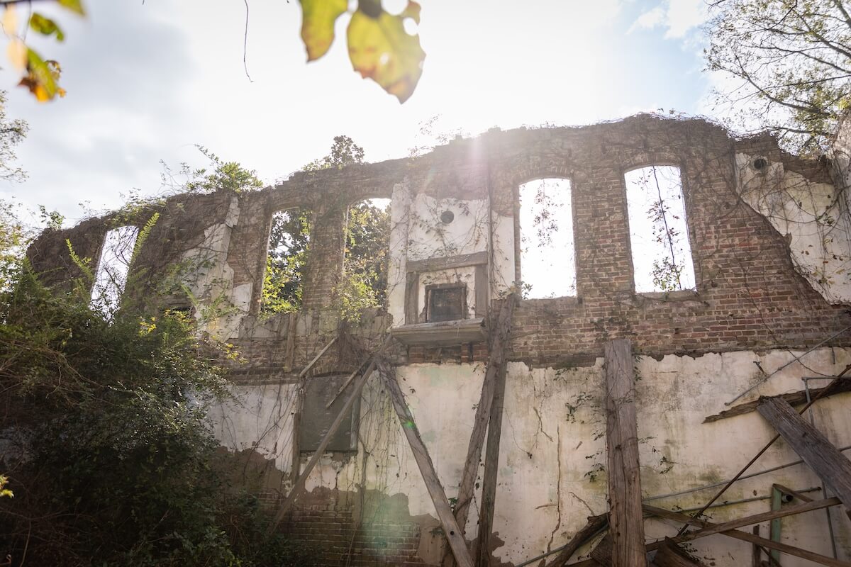Partially collapsed brick and plaster building wall with empty window frames, overgrown with vegetation, and wooden beams leaning against the structure. Sunlight shines from behind—discover this scene when you visit Greenwood, MS.