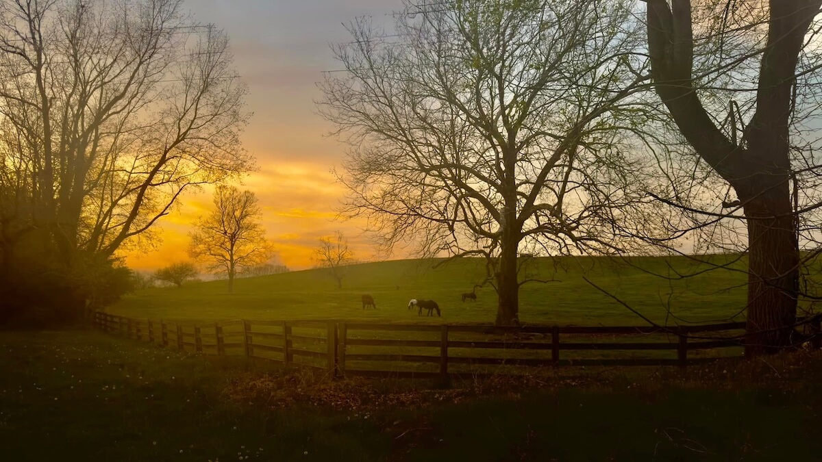 Sunset over a grassy pasture with several horses grazing, surrounded by leafless trees and a wooden fence—this scene captures the tranquil charm of Virginia destinations and is a must-visit place for those who love peaceful travel moments.