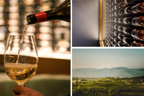 A collage shows wine being poured into a glass, bottles of wine stored on racks, and a vineyard landscape with distant mountains—capturing the essence of Wine Tasting in Friuli-Venezia Giulia.