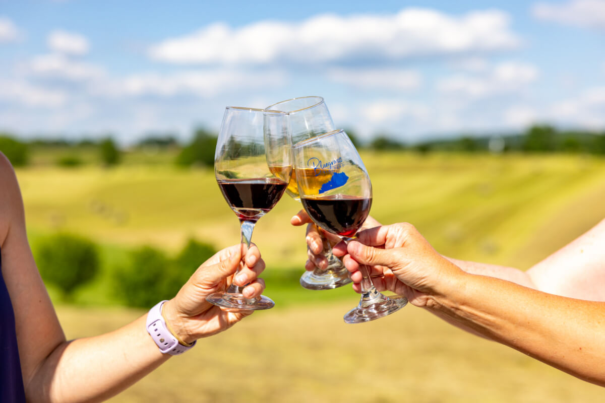 Three people clink wine glasses filled with red and white wine outdoors against a blurred rural landscape.
