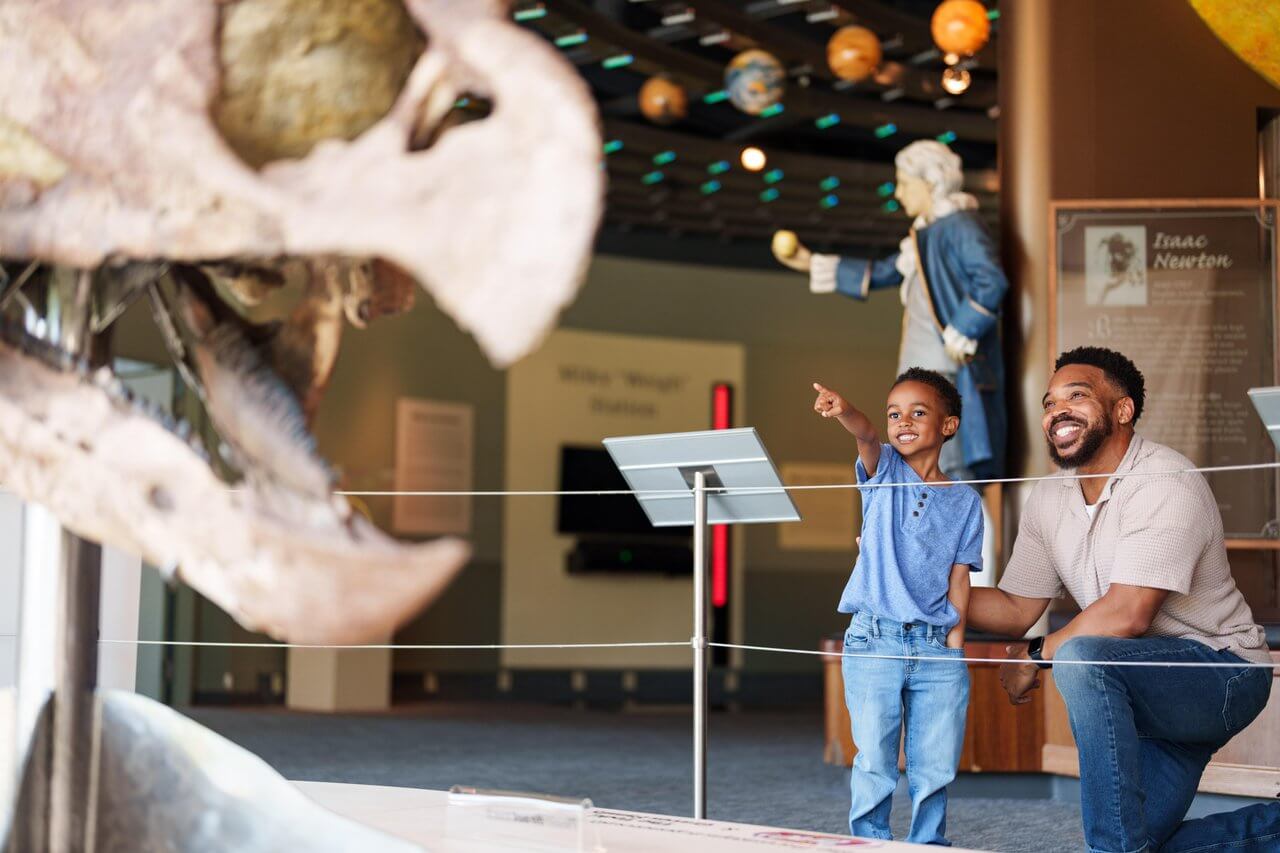 An adult and a child smile and point at a large dinosaur skull display in a museum exhibit, discovering ancient wonders found in SEC Towns.