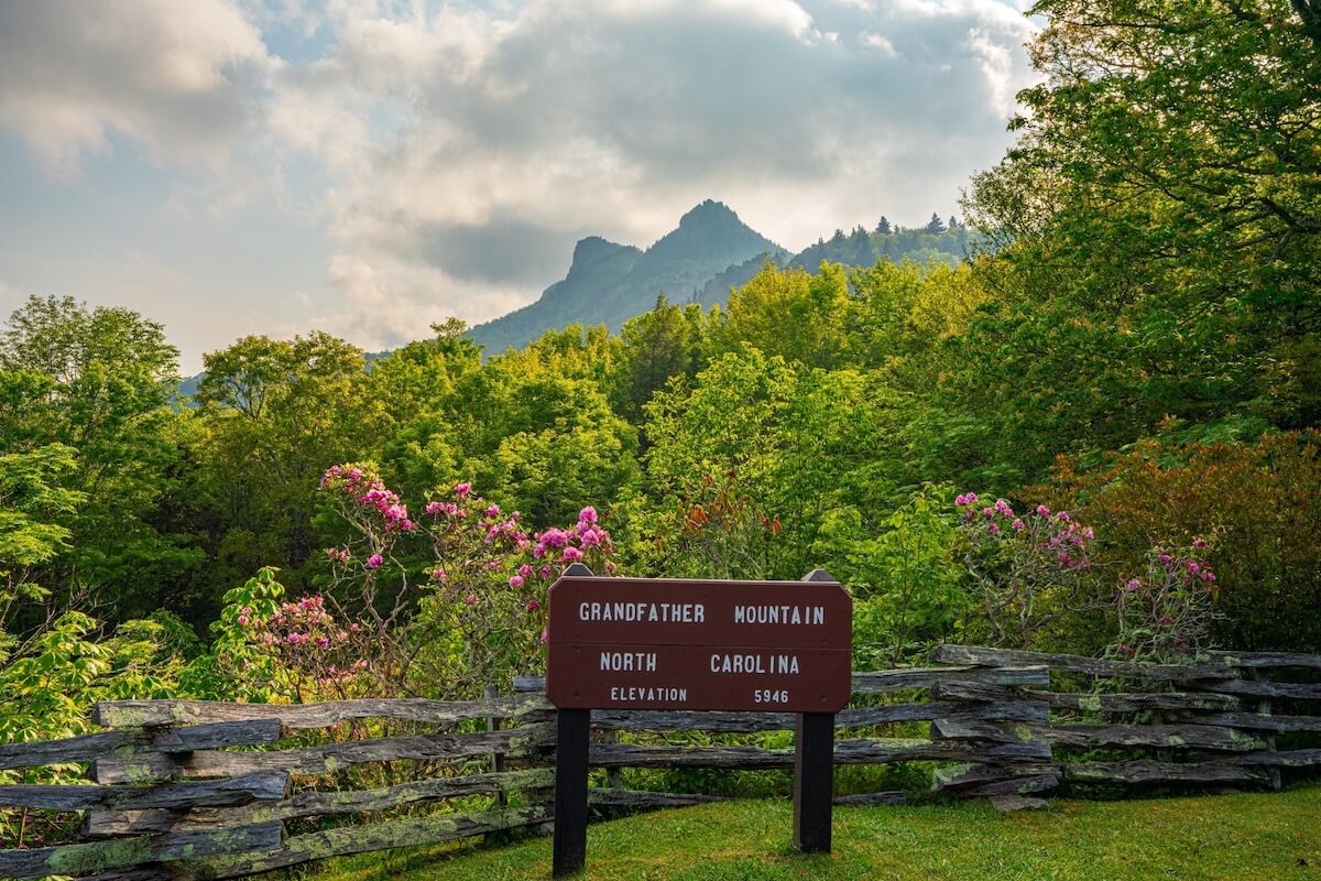 The 7 Best Scenic Overlooks in the South