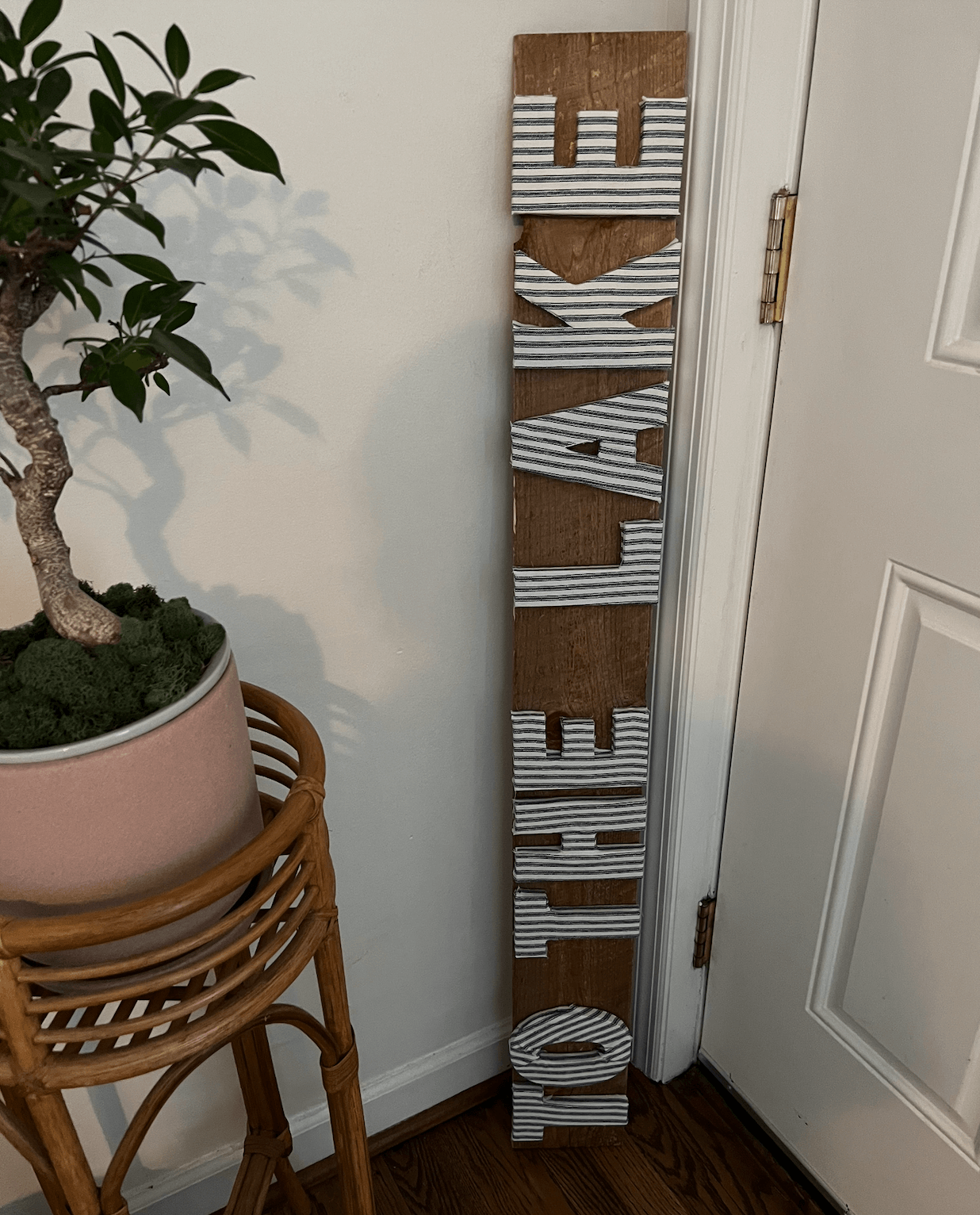 A wooden vertical sign with raised letters reading "TO THE LAKE" leans against a wall next to a door and a potted plant on a wicker stand—perfect for embracing lake life décor.