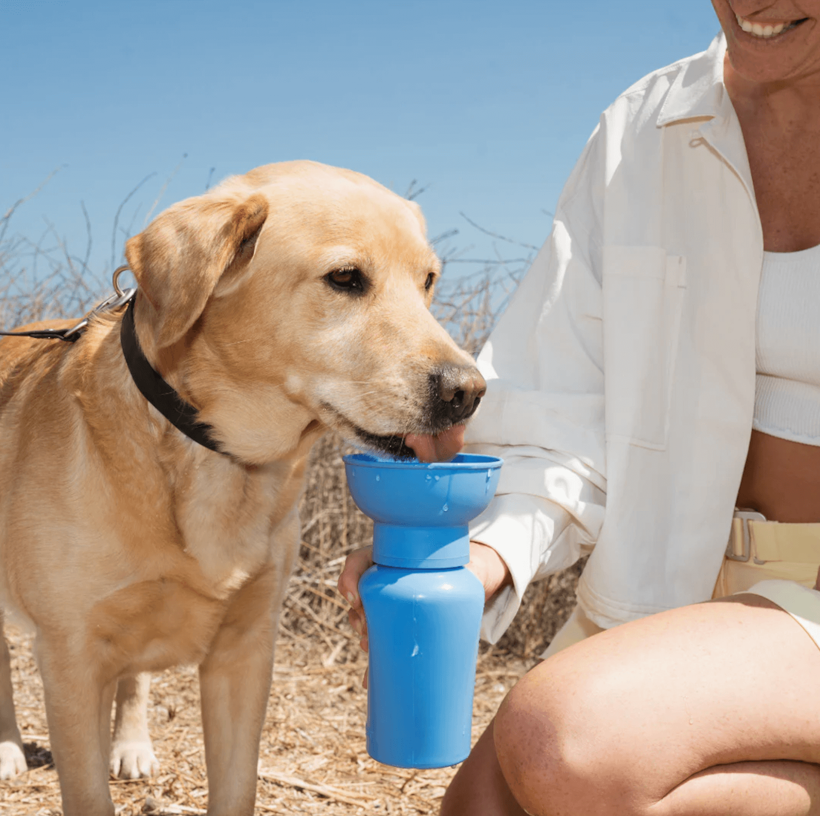 18 Nashville FINDS for Late Summer: Jewelry, Decor & More - 9 On a late summer day, a person holds a blue portable water bottle for a yellow Labrador retriever to drink from outdoors—just one of the many moments you might spot at FINDS Nashville.