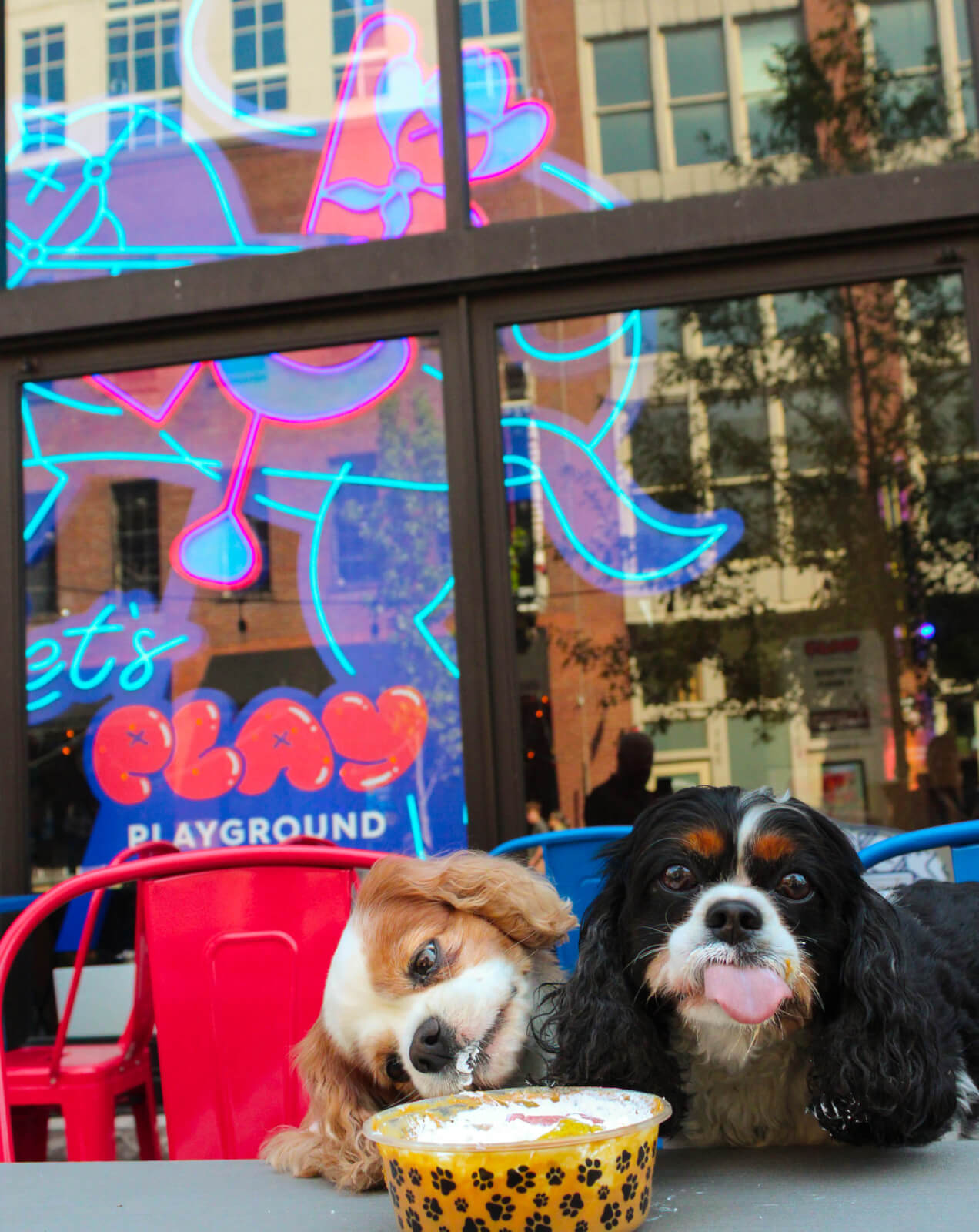 Two dogs sit at an outdoor table with a bowl of food, one eating and the other looking at the camera; a neon dog-themed sign and building reflections add charm to this fun Nashville Deals scene.