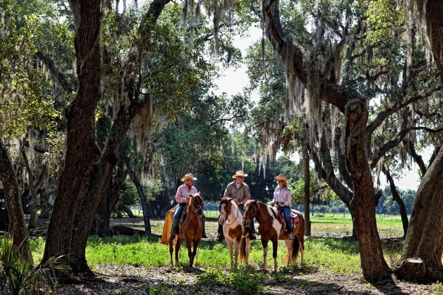 10 Digital Detox Destinations Around the South - 6 Three people in hats sit on horses beneath tall moss-covered trees in a sunlit forest clearing, capturing the serene spirit of southern ranches and inviting you to get back to nature.