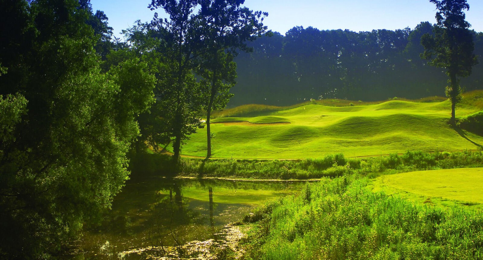 A green golf course with rolling hills, trees, and a pond in the foreground under a clear blue sky, showcasing the natural beauty found at Nashville golf courses.