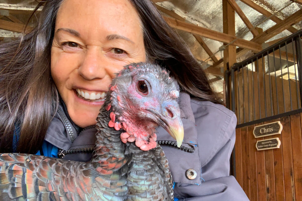 Meet the Founder of The Gentle Barn (and Some of Its Adorable Residents!)