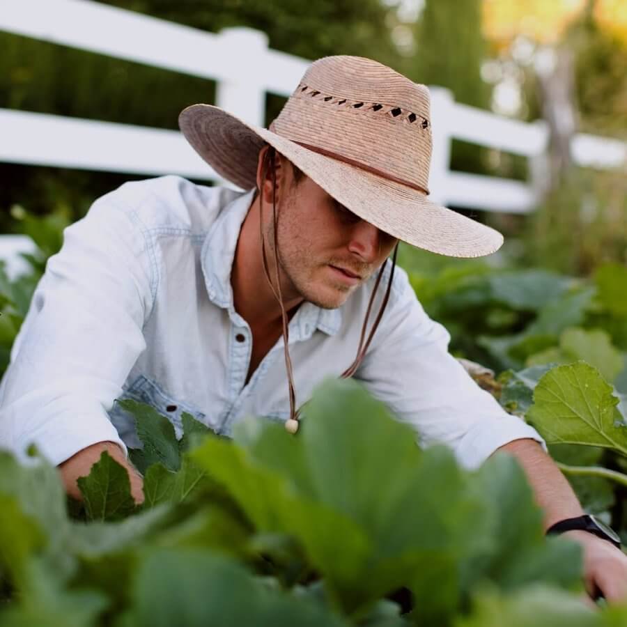 A person wearing a wide-brimmed Tula Hat and light shirt tends to green plants in a garden near a white fence.