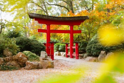 A red Japanese torii gate stands in a serene garden, surrounded by green shrubs, rocks, and colorful autumn trees—a tranquil escape reminiscent of the peaceful settings often found at Birmingham events.