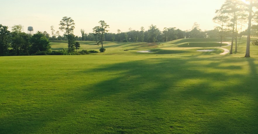 A sunlit golf course with green fairways, sand bunkers, trees, and a water tower in the background, showcasing the natural beauty at the Eagle's Nest Golf Course in Lake Guntersville State Park.
