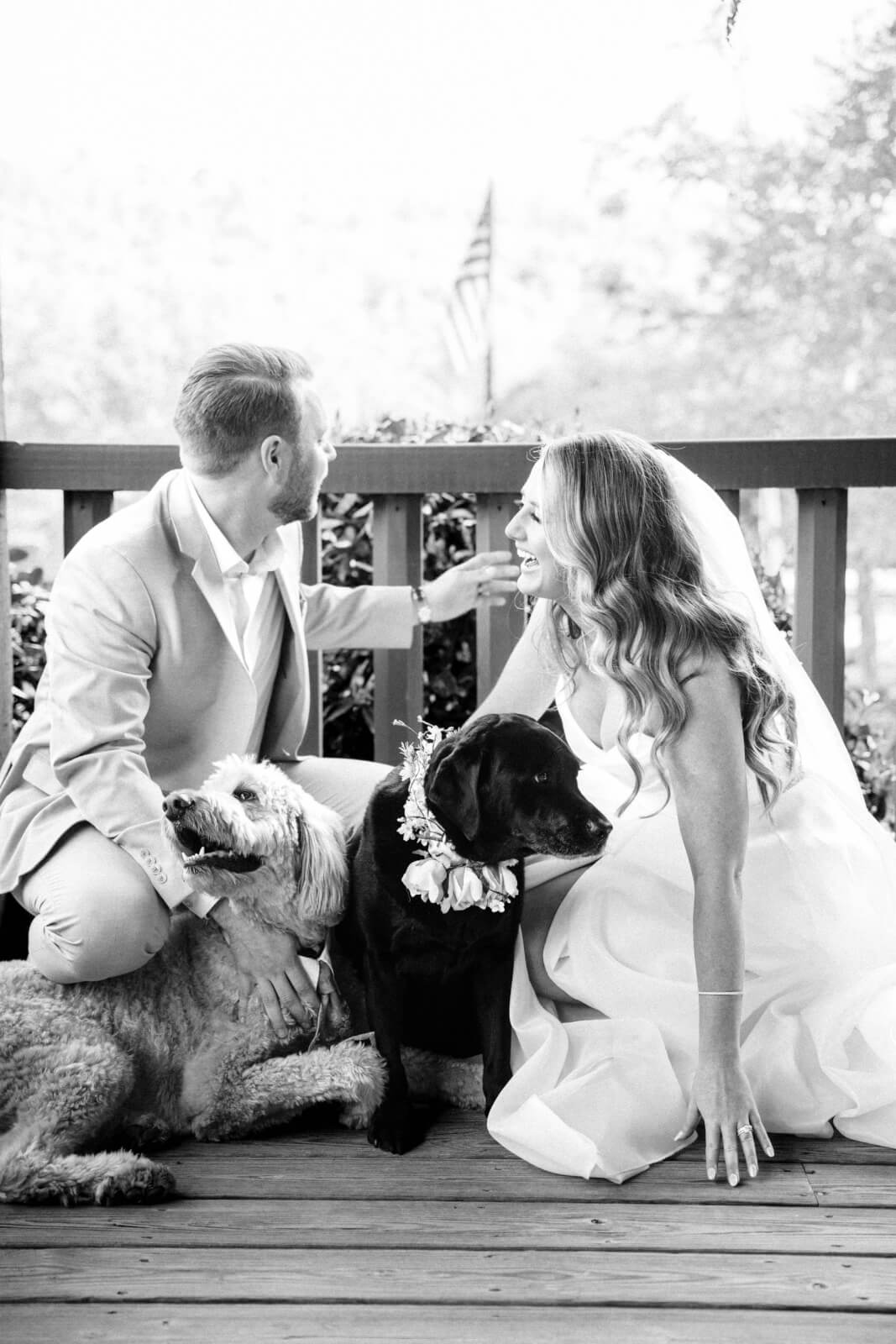 A bride and groom sit on a wooden porch with their precious pups; the bride wears a veil and dress, while the groom sports a light suit. An American flag waves in the background at this charming outdoor wedding.